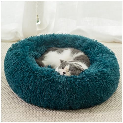 HUAXIQUE Hundebett Waschbar Fluffy Hundebett Hundebett Rund Hundekissen Plüsch Donut undekissen Waschbar Flauschig Hundematte Anti Rutsch Noppenboden 80cm Cyan von HUAXIQUE
