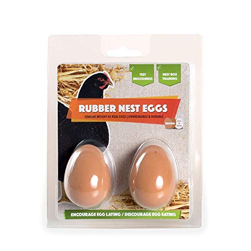 Eier für Hühner 2 Stück Bruthilfe I Gummi-Eier - Naturgetreue Nesteier, Legeeier zur Bruthilfe, künstliche Hühnereier, Eier für Nestplatzbestimmung Eier für Hühner 2 Stück Bruthilfe I Gummi-Eier - Naturgetreue Nesteier, Legeeier zur Bruthilfe, künstliche Hühnereier, Eier für Nestplatzbestimmung von HÜHNER Land