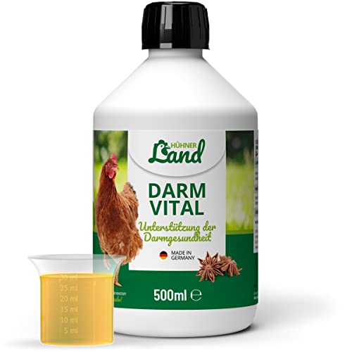 HÜHNER Land Darm Vital 500ml für Hühner – Unterstützung der Verdauung & Darmflora von Hühnern, bei Durchfall und Kokzidien beim Huhn, Stärkung von Immunsystem, Darmfunktion & Darmtrakt von Hühnern von HÜHNER Land