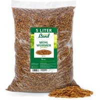HÜHNER Land Edel Mehlwürmer 800g HÜHNER Land Edel Mehlwürmer 800g von HÜHNER Land
