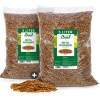 HÜHNER Land Feinkost Mehlwürmer getrocknet 2 x 800g von HÜHNER Land