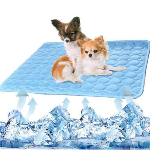 HUFACAI Kühlmatte für Hunde und Katzen, Eisseidenmatte, Kühldecke, Kissen für Zwinger/Sofa/Bett/Boden/Autositze für draußen oder zu Hause (71,1 x 55,9 cm) Blau von HUFACAI