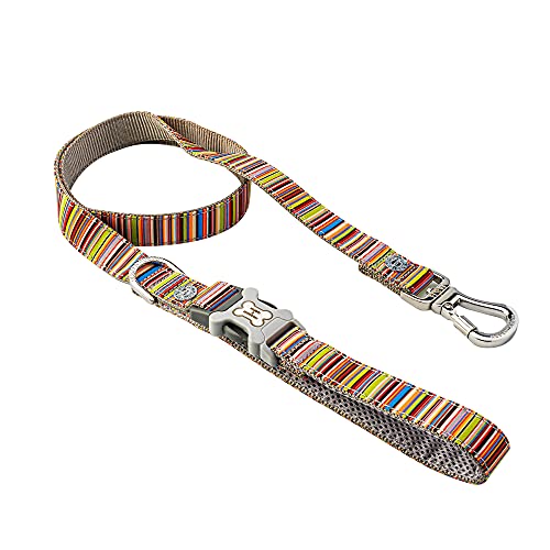 HUGO & HUDSON Hundeleine, Trainingsleine mit Clip im Griff, Mehrfarbiger Streifen, 120 x 2,5 cm von HUGO & HUDSON