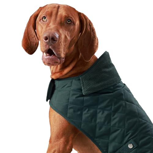 HUGO & HUDSON x HACKETT Gesteppte Hundejacke Warmer Wintermantel mit Cordkragen, Waldgrün M50 von HUGO & HUDSON