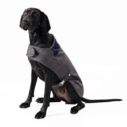 HUGO & HUDSON x HACKETT Tweed Hundejacke Mantel Cordkragen, Grau kariertes Fischgrätenmuster, S35 von HUGO & HUDSON