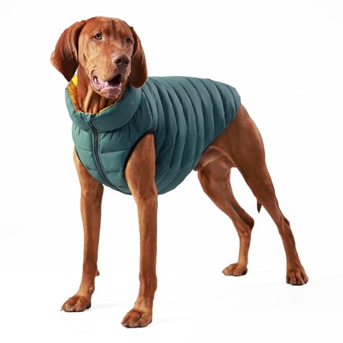 HUGO & HUDSON x Hackett Wendbare Pufferjacke für Hunde, Warmer Wintermantel, Waldgrün und Gold M40 HUGO & HUDSON x Hackett Wendbare Pufferjacke für Hunde, Warmer Wintermantel, Waldgrün und Gold M40 von HUGO & HUDSON