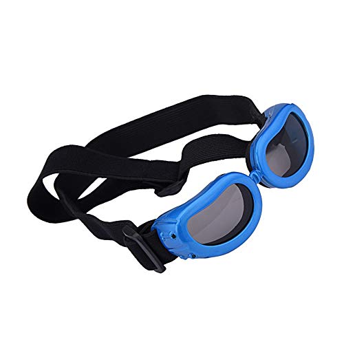 HUI JIN Hundesonnenbrille, UV-Schutz, wasserdicht, Winddicht, Augenschutz für kleine Haustiere, Blau von HUI JIN