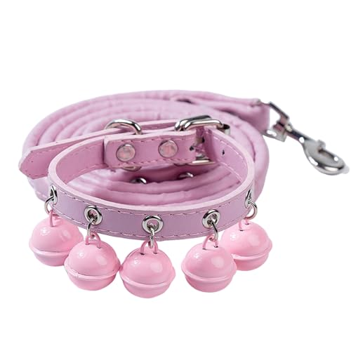 HUIFACAI Hundeleine mit Lederhalsband, strapazierfähig, Zugseil, für Haustiere, Hunde, praktisch, ausbruchsicher, 120 cm HUIFACAI Hundeleine mit Lederhalsband, strapazierfähig, Zugseil, für Haustiere, Hunde, praktisch, ausbruchsicher, 120 cm von HUIFACAI