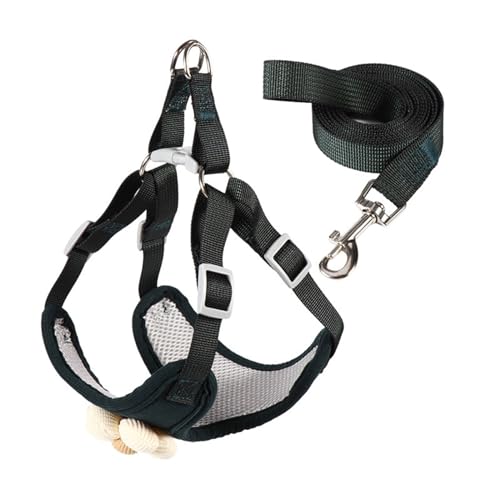 HUIFACAI Hundeleine mit schöner Blumenweste, Seil, 1,2 m lang, für starkes Training, Spazierengehen, Schwimmen, Wandern HUIFACAI Hundeleine mit schöner Blumenweste, Seil, 1,2 m lang, für starkes Training, Spazierengehen, Schwimmen, Wandern von HUIFACAI