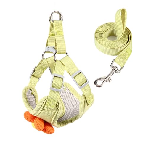 HUIFACAI Hundeleine mit schöner Blumenweste, Seil, 1,2 m lang, für starkes Training, Spazierengehen, Schwimmen, Wandern HUIFACAI Hundeleine mit schöner Blumenweste, Seil, 1,2 m lang, für starkes Training, Spazierengehen, Schwimmen, Wandern von HUIFACAI