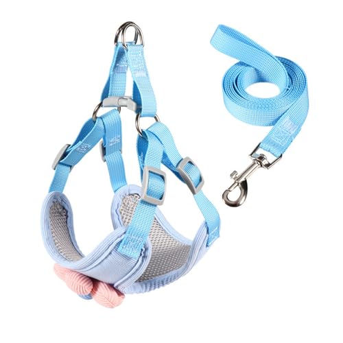 HUIFACAI Hundeleine mit schöner Blumenweste, Seil, 1,2 m lang, für starkes Training, Spazierengehen, Schwimmen, Wandern HUIFACAI Hundeleine mit schöner Blumenweste, Seil, 1,2 m lang, für starkes Training, Spazierengehen, Schwimmen, Wandern von HUIFACAI