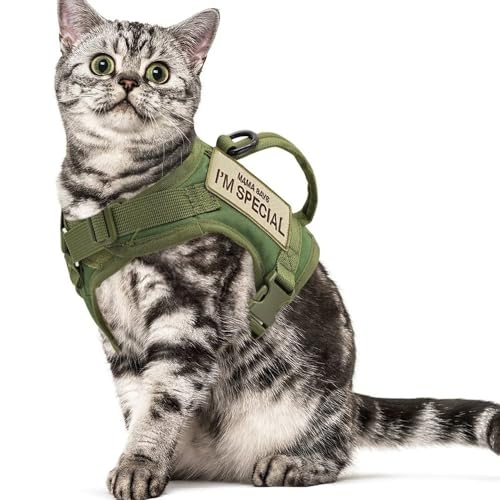 DCNIYT Nylon-Katzengeschirr mit 2 Aufklebern, Militär-Katzengeschirr mit Griff, für Katzen, kleine Hunde, Haustier-Training, Spazierengehen, Chihuahua, Grün von HUIJIQX