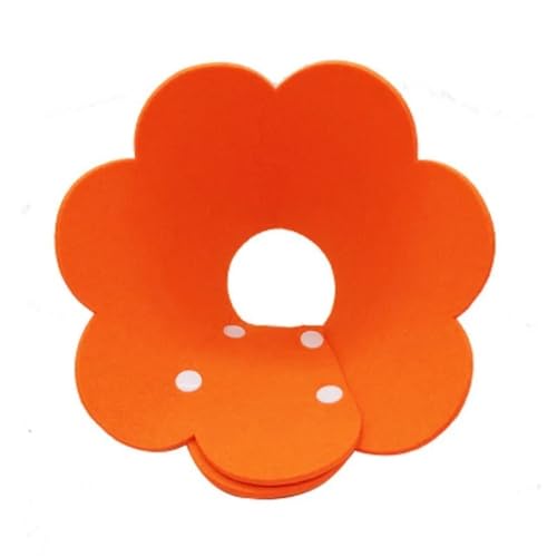 Elisabethanische Katzen-Genesungshalsband in Blumenform, Wundheilung, Schutzkegel für Kätzchen, Welpen, Haustierbedarf (Orange, M 22 cm) von HUIJIQX