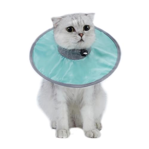 Haustier-Katzen-Schutzhalsband, Halskrause zur Genesung von Bissen, Lecken, wiederverwendbar, für Katzen und Hunde, medizinische Kreise für Haustierbedarf, Mintgrün, L Haustier-Katzen-Schutzhalsband, Halskrause zur Genesung von Bissen, Lecken, wiederverwendbar, für Katzen und Hunde, medizinische Kreise für Haustierbedarf, Mintgrün, L von HUIJIQX