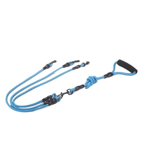 Haustier Leine Nylon Doppelseil Zwei Köpfe Hundeleine 2-Wege-Verbinder Spaziergang Zwei und mehr Hundehalsbänder Hosenträger Hundebänder (blau, 3 Seil) von HUIJIQX