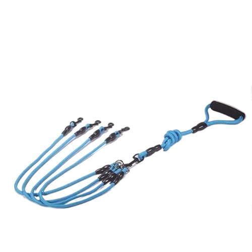 Hundeleine für Haustiere, Nylonseil, doppelt, zwei Köpfe, 2-Wege-Koppler, für Spaziergänge, zwei und mehr, Halsbänder, Geschirr, Leinen, 4 Seile, Blau Hundeleine für Haustiere, Nylonseil, doppelt, zwei Köpfe, 2-Wege-Koppler, für Spaziergänge, zwei und mehr, Halsbänder, Geschirr, Leinen, 4 Seile, Blau von HUIJIQX