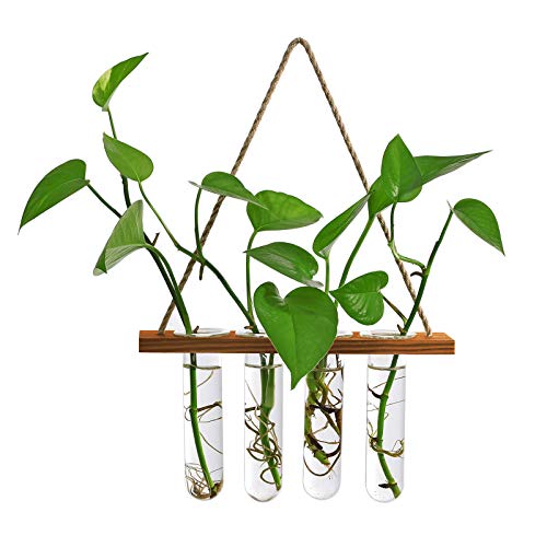 HUIKJI Hydrokultur-Pflanzgefäß, zum Aufhängen, aus Glas, mit 4 Reagenzgläsern, Vase für Büro und Zuhause von HUIKJI