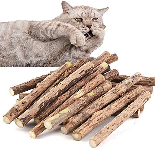 HUIRUMM 40 Stück Katzenminze Sticks,Katzen Kauhölzer Katzen Spielzeug zahnpflege Katzen Sticks Katzen matatabi, zur Katzen Zahnpflege und gegen Mundgeruch der Katze von HUIRUMM