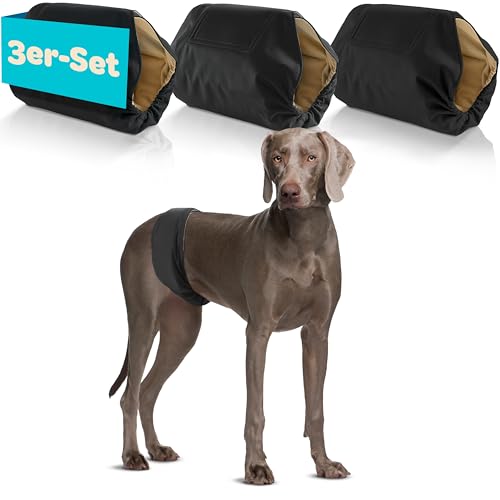 HUND IST KÖNIG Hundewindeln für Rüden [3 STK] Saugstarke Hundewindeln Rüde | Bequeme Hunde Windeln bei Inkontinenz Hund - Umweltfreundliche Rüdenwindel waschbar | Hundewindel leicht zu reinigen von HUND IST KÖNIG