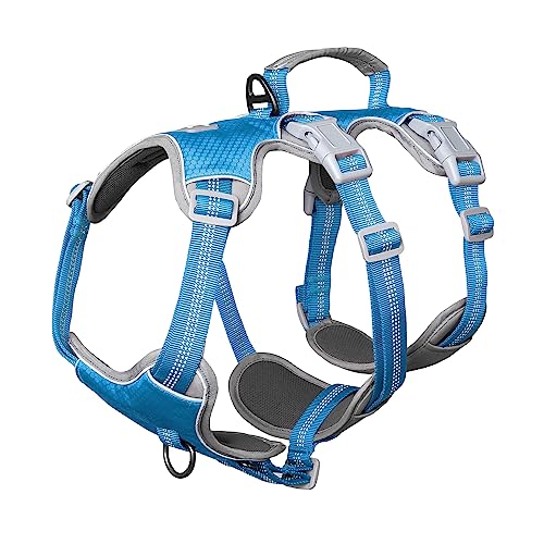 Huntboo Sicherheitsgeschirr Hund Ausbruchsicher, hundegeschirr kleine Hunde, Reflektierendes Geschirr mit Gepolstertem Griff, Verstellbare Weste für Kleine Hunde,die Spazieren Gehen (Blau,S) von Huntboo