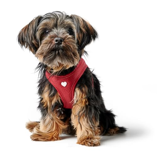 HUNTER Hundegeschirr Love, Farbe: rot, weiches Rindsleder, atmungsaktive Mesh-Polsterung, Herz handgenäht, hoher Komfort, Made in Germany, Größe: XS HUNTER Hundegeschirr Love, Farbe: rot, weiches Rindsleder, atmungsaktive Mesh-Polsterung, Herz handgenäht, hoher Komfort, Made in Germany, Größe: XS von HUNTER