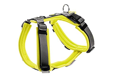HUNTER Geschirr Maldon 37-53/XS-S von HUNTER