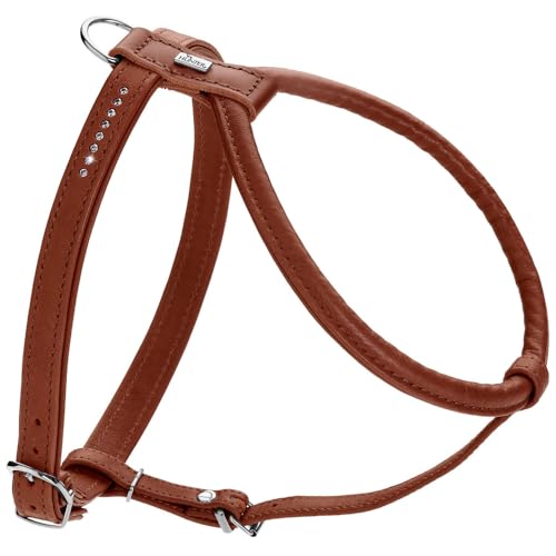 HUNTER Hundegeschirr Round & Soft Canadian UP, Farbe: Cognac, weiches, geschmeidiges Leder, rundgenäht, fellschonend, nachhaltig, Made in Germany, Größe: S/2 HUNTER Hundegeschirr Round & Soft Canadian UP, Farbe: Cognac, weiches, geschmeidiges Leder, rundgenäht, fellschonend, nachhaltig, Made in Germany, Größe: S/2 von HUNTER
