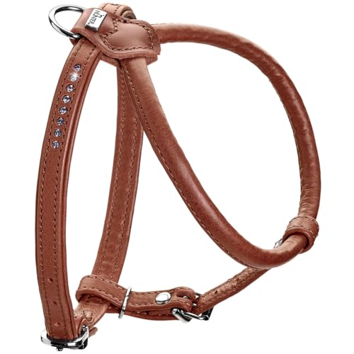 HUNTER Hundegeschirr Round & Soft Canadian UP, Farbe: Cognac, weiches, geschmeidiges Leder, rundgenäht, fellschonend, nachhaltig, Made in Germany, Größe: XS-S HUNTER Hundegeschirr Round & Soft Canadian UP, Farbe: Cognac, weiches, geschmeidiges Leder, rundgenäht, fellschonend, nachhaltig, Made in Germany, Größe: XS-S von HUNTER