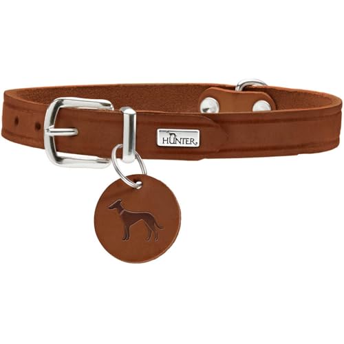 HUNTER AALBORG Hundehalsband, Leder, schlicht, robust, komfortabel, 47 (S-M), cognac von HUNTER