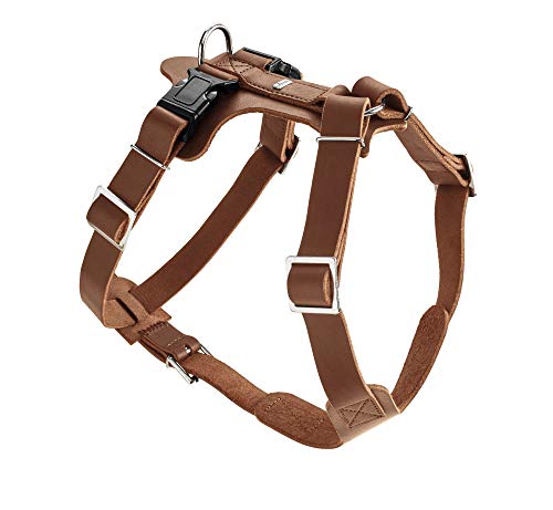 HUNTER Aalborg Hundegeschirr, Leder, M-L/2, Cognac von HUNTER