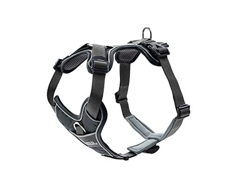 HUNTER DIVO Hundegeschirr, L, 72-100 cm, grau/grau HUNTER DIVO Hundegeschirr, L, 72-100 cm, grau/grau von HUNTER