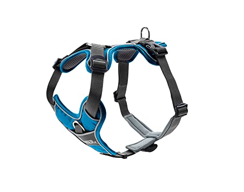 HUNTER DIVO Hundegeschirr, M, 56-73 cm, hellblau/grau HUNTER DIVO Hundegeschirr, M, 56-73 cm, hellblau/grau von HUNTER