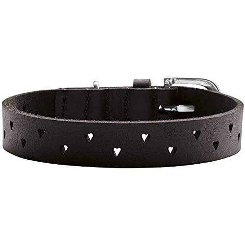 HUNTER Hundehalsband Aalborg Soul, Farbe schwarz, mit Herz-Stanzung, stark gefettet, robust, Größe 45 HUNTER Hundehalsband Aalborg Soul, Farbe schwarz, mit Herz-Stanzung, stark gefettet, robust, Größe 45 von HUNTER