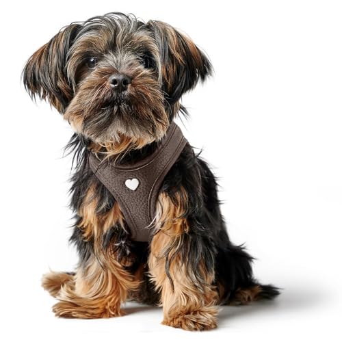 HUNTER Hundegeschirr Love, Farbe: braun, weiches Rindsleder, atmungsaktive Mesh-Polsterung, Herz handgenäht, hoher Komfort, Made in Germany, Größe: XXS-XS HUNTER Hundegeschirr Love, Farbe: braun, weiches Rindsleder, atmungsaktive Mesh-Polsterung, Herz handgenäht, hoher Komfort, Made in Germany, Größe: XXS-XS von HUNTER