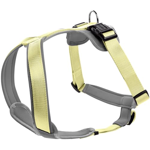 HUNTER Hundegeschirr NEOPREN, Farbe: Matcha/grau, strapazierfähiges Nylon, mit weichem Neopren gepolstert, reflektierendes 3M Scotchlite Reflective Material, pflegeleicht, komfortabel, Größe: S HUNTER Hundegeschirr NEOPREN, Farbe: Matcha/grau, strapazierfähiges Nylon, mit weichem Neopren gepolstert, reflektierendes 3M Scotchlite Reflective Material, pflegeleicht, komfortabel, Größe: S von HUNTER