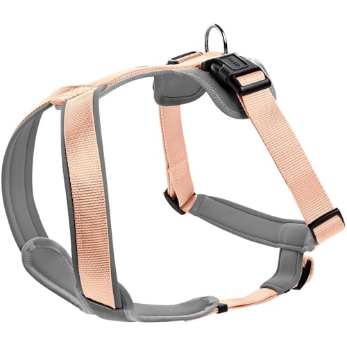 HUNTER Hundegeschirr NEOPREN, Farbe: pfirsich/grau, strapazierfähiges Nylon, mit weichem Neopren gepolstert, reflektierendes 3M Scotchlite Reflective Material, pflegeleicht, komfortabel, Größe: L HUNTER Hundegeschirr NEOPREN, Farbe: pfirsich/grau, strapazierfähiges Nylon, mit weichem Neopren gepolstert, reflektierendes 3M Scotchlite Reflective Material, pflegeleicht, komfortabel, Größe: L von HUNTER