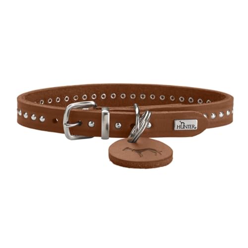 HUNTER Hundehalsband Aalborg Style, Farbe: Cognac, stark gefettetes Vollrindleder, robust, komfortabel, stylischer Nietenbesatz, Made in Germany, Größe: 27 HUNTER Hundehalsband Aalborg Style, Farbe: Cognac, stark gefettetes Vollrindleder, robust, komfortabel, stylischer Nietenbesatz, Made in Germany, Größe: 27 von HUNTER