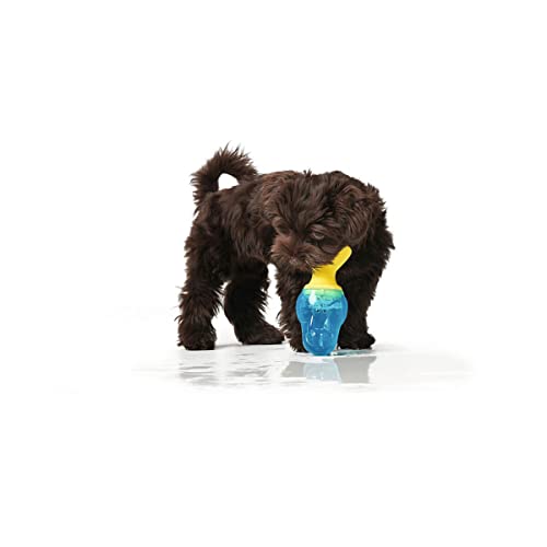 HUNTER Kühl-Hundespielzeug Alaska Delfin, 16 cm HUNTER Kühl-Hundespielzeug Alaska Delfin, 16 cm von HUNTER