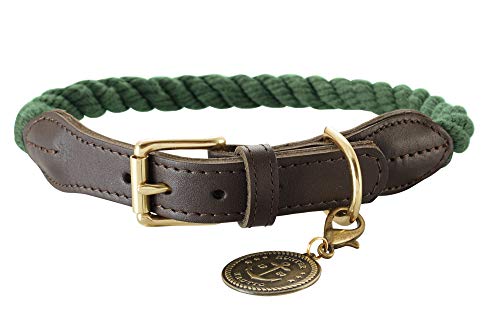 HUNTER List Hundehalsband, Leder, maritim, strapazierfähig, wetterfest, geschmeidig, 60 (L), oliv von HUNTER
