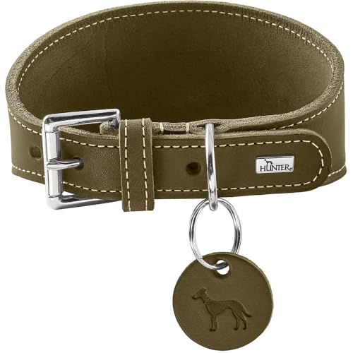 HUNTER Windhundhalsband Aalborg Farbe Oliv, Robustes Softleder, ideal für Windhunde, druckverteilendes Design, Kehlkopfschonend, Made in Germany, Größe 52 HUNTER Windhundhalsband Aalborg Farbe Oliv, Robustes Softleder, ideal für Windhunde, druckverteilendes Design, Kehlkopfschonend, Made in Germany, Größe 52 von HUNTER