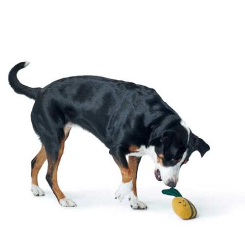 Hundespielzeug Florenz, Hummel 22 cm Hundespielzeug Florenz, Hummel 22 cm von HUNTER
