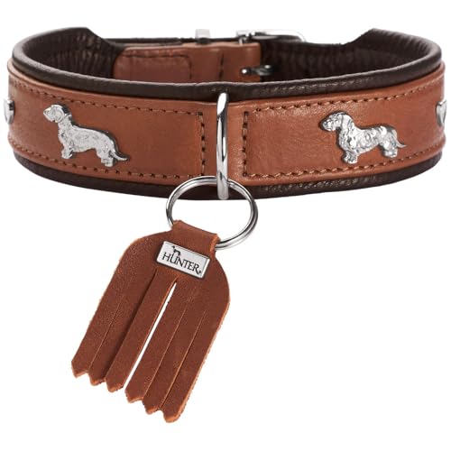 HUNTER Teckel-Halsband MÜNCHEN, Farbe: Cognac/schwarz, Leder, edle Dackel-Besätze, weich und robust, fellschonend, luxuriös, ökologisch hergestellt, nachhaltig, Made in Germany, Größe: 37 HUNTER Teckel-Halsband MÜNCHEN, Farbe: Cognac/schwarz, Leder, edle Dackel-Besätze, weich und robust, fellschonend, luxuriös, ökologisch hergestellt, nachhaltig, Made in Germany, Größe: 37 von HUNTER