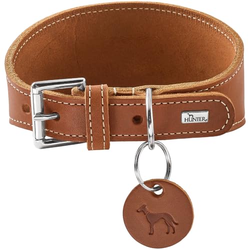 HUNTER Windhundhalsband Aalborg Farbe Cognac, Robustes Softleder, ideal für Windhunde, druckverteilendes Design, Kehlkopfschonend, Made in Germany, Größe 42 HUNTER Windhundhalsband Aalborg Farbe Cognac, Robustes Softleder, ideal für Windhunde, druckverteilendes Design, Kehlkopfschonend, Made in Germany, Größe 42 von HUNTER