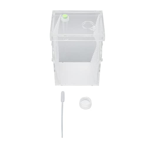HUONIU Acryl-Reptilien-Insekten-Zuchtbox, Mini-Luftbefeuchter (L) von HUONIU