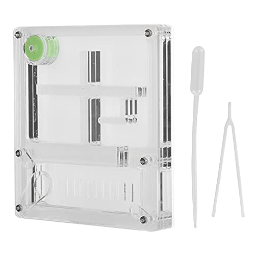 HUONIU Ameisennest aus transparentem Acryl mit Beobachtungsbox, Brut- und Befeuchtungsbehälter HUONIU Ameisennest aus transparentem Acryl mit Beobachtungsbox, Brut- und Befeuchtungsbehälter von HUONIU