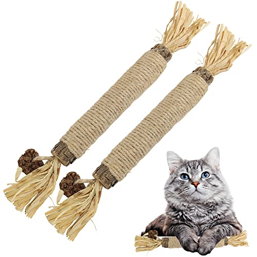 Silvervine Sticks mit Katzenminze – entwickelt, um die Zähne Ihrer Katze zu reinigen, ihre Angst und Stress zu beruhigen, Kauspielzeug mit Katzenminze, sicher für alle Altersgruppen und Rassen (Set Silvervine Sticks mit Katzenminze – entwickelt, um die Zähne Ihrer Katze zu reinigen, ihre Angst und Stress zu beruhigen, Kauspielzeug mit Katzenminze, sicher für alle Altersgruppen und Rassen (Set von HUPA