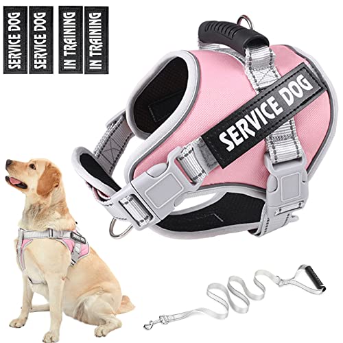 HUSDOW Service Dog Vest Geschirr, kein Ziehen in das Training von Hundegeschirr mit Griff & 1.5 m Hundeleine, Welpengeschirr für kleine Haustiere zum Gehen und Laufen (Rosa, klein) von HUSDOW
