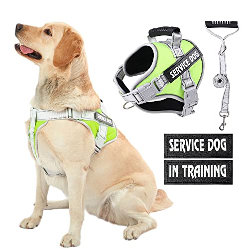 HUSDOW Service Dog Vest Geschirr, kein Ziehen in das Training von Hundegeschirr mit Griff & 1.5 m Hundeleine, kein Keil Geschirr für große Haustiere zum Gehen und Laufen (Grün, L) von HUSDOW