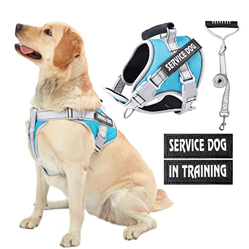 HUSDOW Service Dog Vest Geschirr, kein Ziehen in das Training von Hundegeschirr mit Griff & 1.5 m Hundeleine, kein Keil Geschirr für große Haustiere zum Gehen und Laufen (Türkis, XL) von HUSDOW