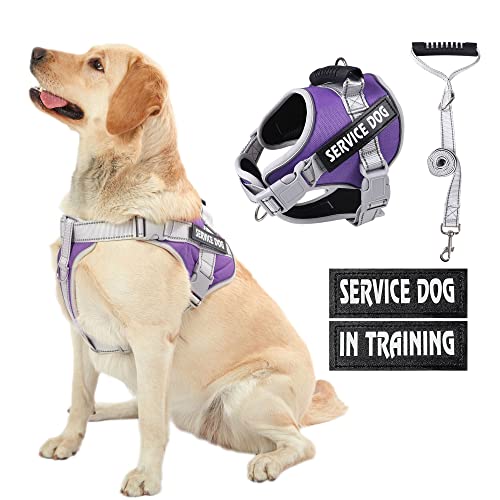 HUSDOW Service Dog Vest Geschirr, kein Ziehen in das Training von Hundegeschirr mit Griff & 1.5 m lange Hundeleine, kein Keil Geschirr für kleine Haustiere zum Gehen und Laufen (Lila, S) von HUSDOW